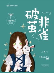 破茧非雀在线阅读