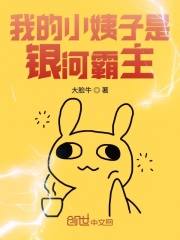 我的小姨子是银河霸主在线阅读