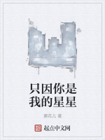 只因你是我的星星在线阅读