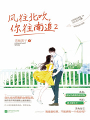 风往北吹，你往南追2