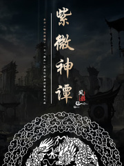 紫微神谭在线阅读