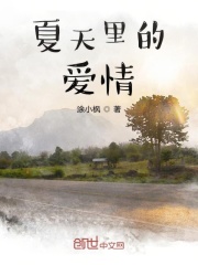 夏天里的爱情