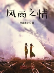风雨之情在线阅读