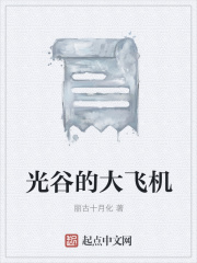 光谷的大飞机在线阅读