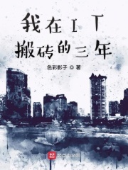 我在IT搬砖的三年