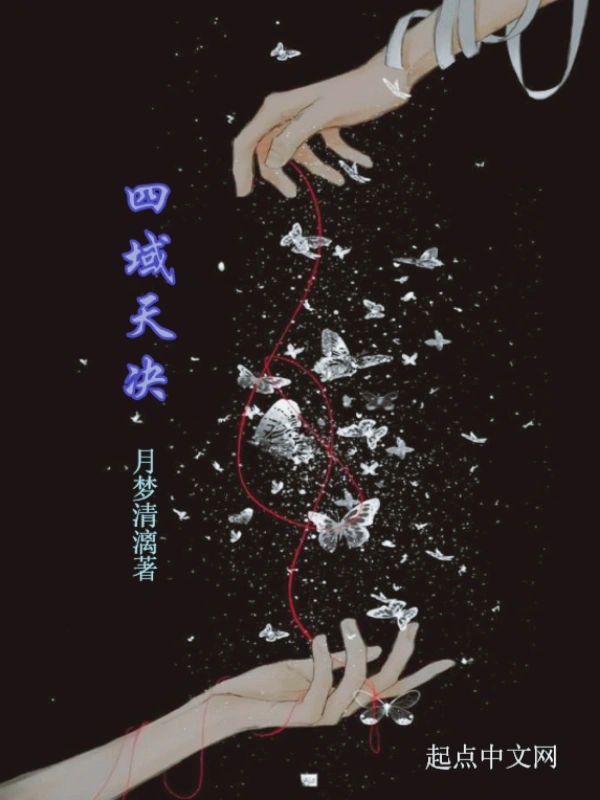 四域天决