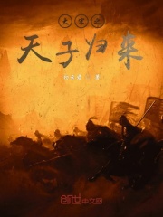 大宋之天子归来在线阅读