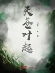 天苍叶起
