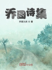 乔园诗集在线阅读