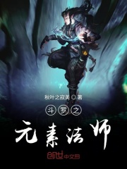 斗罗之元素法师在线阅读