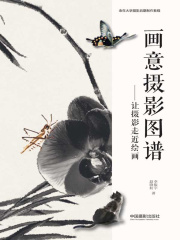 画意摄影图谱