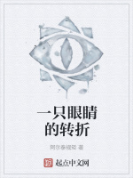 一只眼睛的转折在线阅读