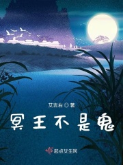 冥王不是鬼在线阅读