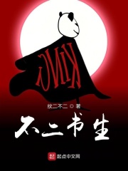 不二书生