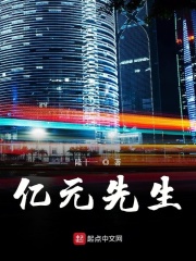 亿元先生在线阅读