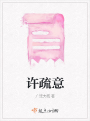 许疏意