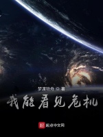 我能看见危机在线阅读