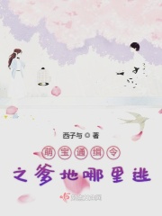 萌宝通缉令之爹地哪里逃在线阅读