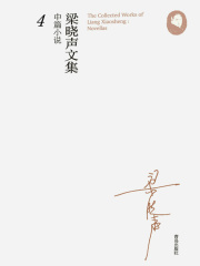 梁晓声文集·中篇小说4