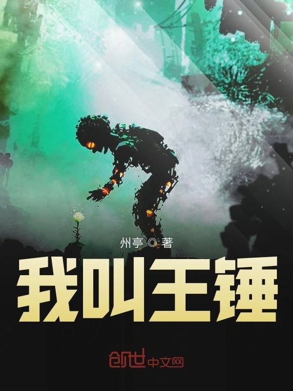 我叫王锤
