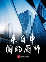 来自中国的主厨在线阅读