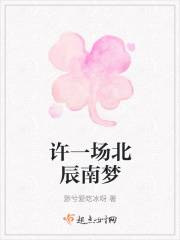 许一场北辰南梦