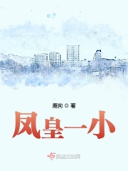 凤皇一小在线阅读