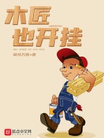 木匠也开挂封面