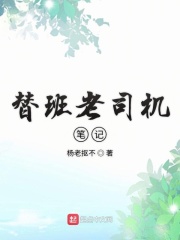 替班老司機筆記txt合集下載