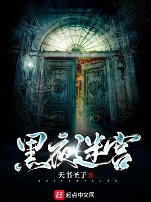 黑夜迷宫在线阅读