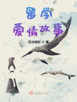 留学爱情故事在线阅读