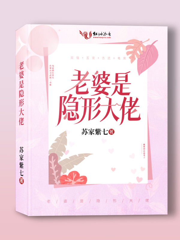 老婆是隐形大佬在线阅读