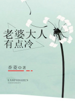 老婆大人有点冷在线阅读