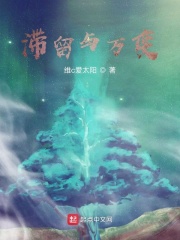 滞留与万变在线阅读