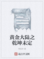黄金大陆之乾坤未定