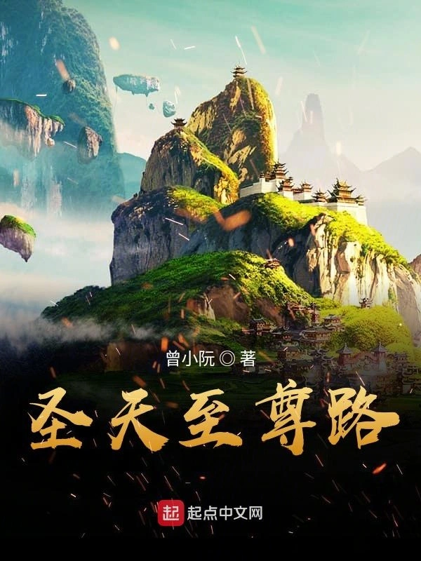 圣天至尊路