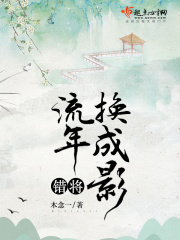 错将流年换成影在线阅读