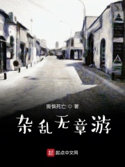 杂乱无章游在线阅读