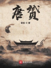 唐赟在线阅读