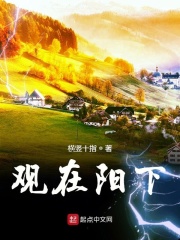 观在阳下在线阅读