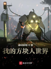 我的方块人世界
