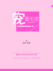 宠妻无度