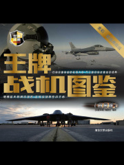 王牌战机图鉴（白金版）