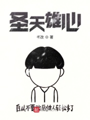 圣天雄心在线阅读