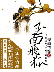 穿越情缘之玉面飞狐在线阅读