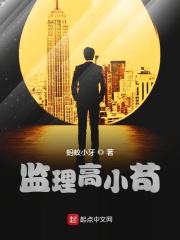 监理高小苟在线阅读