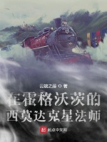 在霍格沃茨的西莫达克星法师在线阅读
