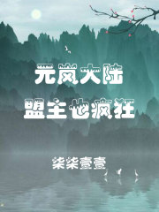 元岚大陆：盟主也疯狂