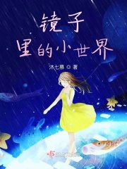 镜子里的小世界在线阅读