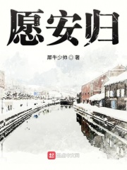 愿安归在线阅读